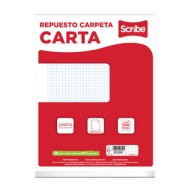 Hojas Cuadro Chico Carta C/100