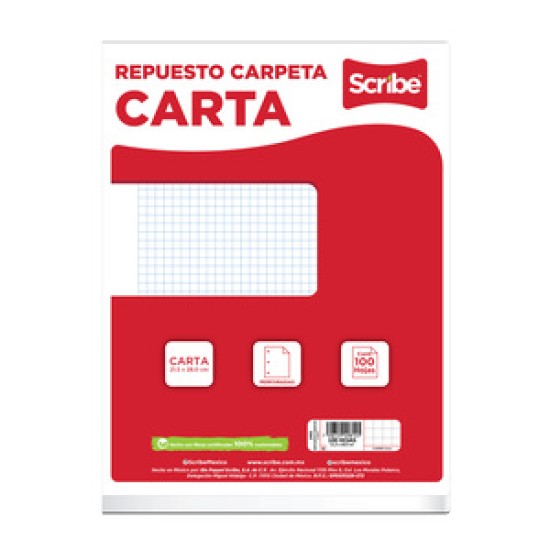 Hojas Cuadro Chico Carta C/100