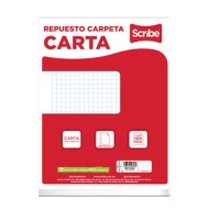 Hojas Cuadro Grande Carta C/100